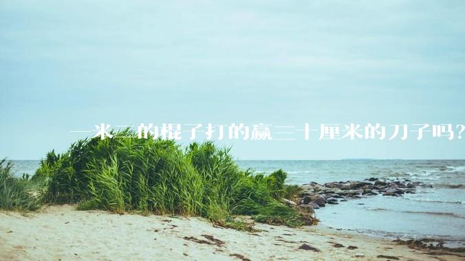 一米二的棍子打的赢三十厘米的刀子吗？